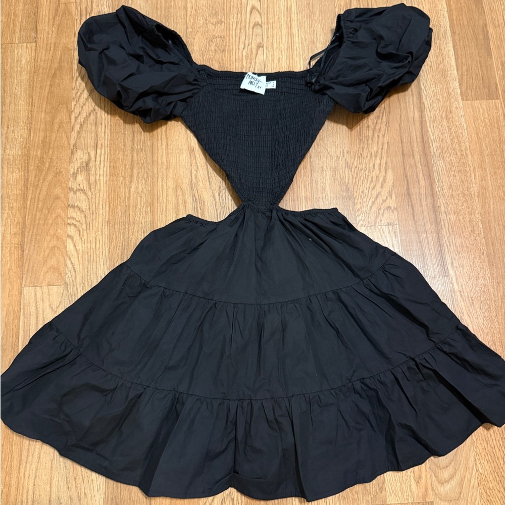 NWOT Polly princess dress